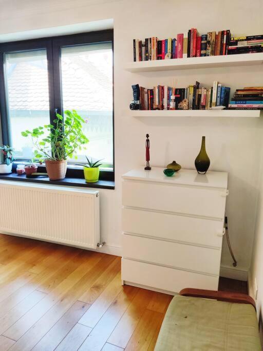 Old Town Bohemian With Garden View Balcony Bucureşti