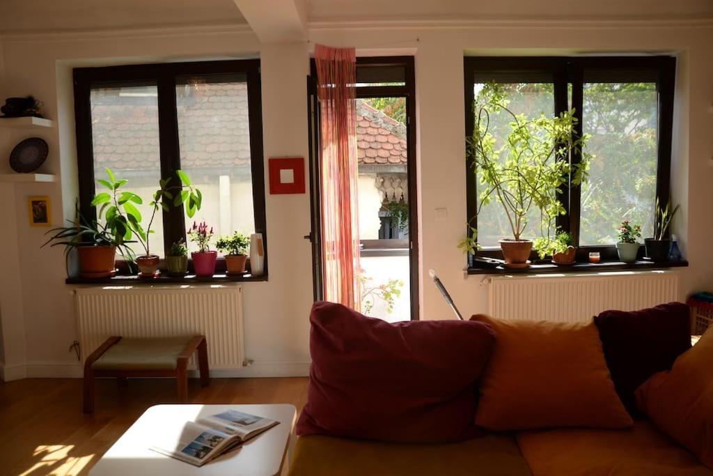 Apartament Old Town Bohemian With Garden View Balcony Bucureşti