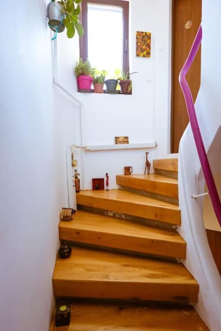 Old Town Bohemian With Terrace Apartment Bucharest