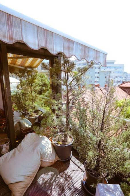Old Town Bohemian With Terrace *