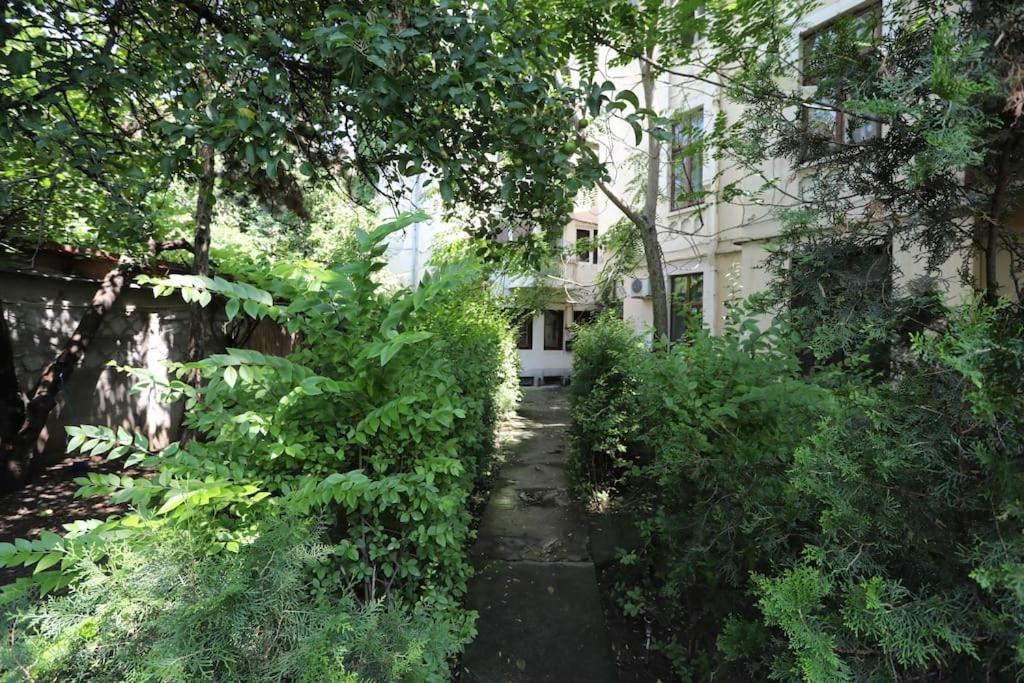 Old Town Bohemian With Terrace Apartment Bucharest