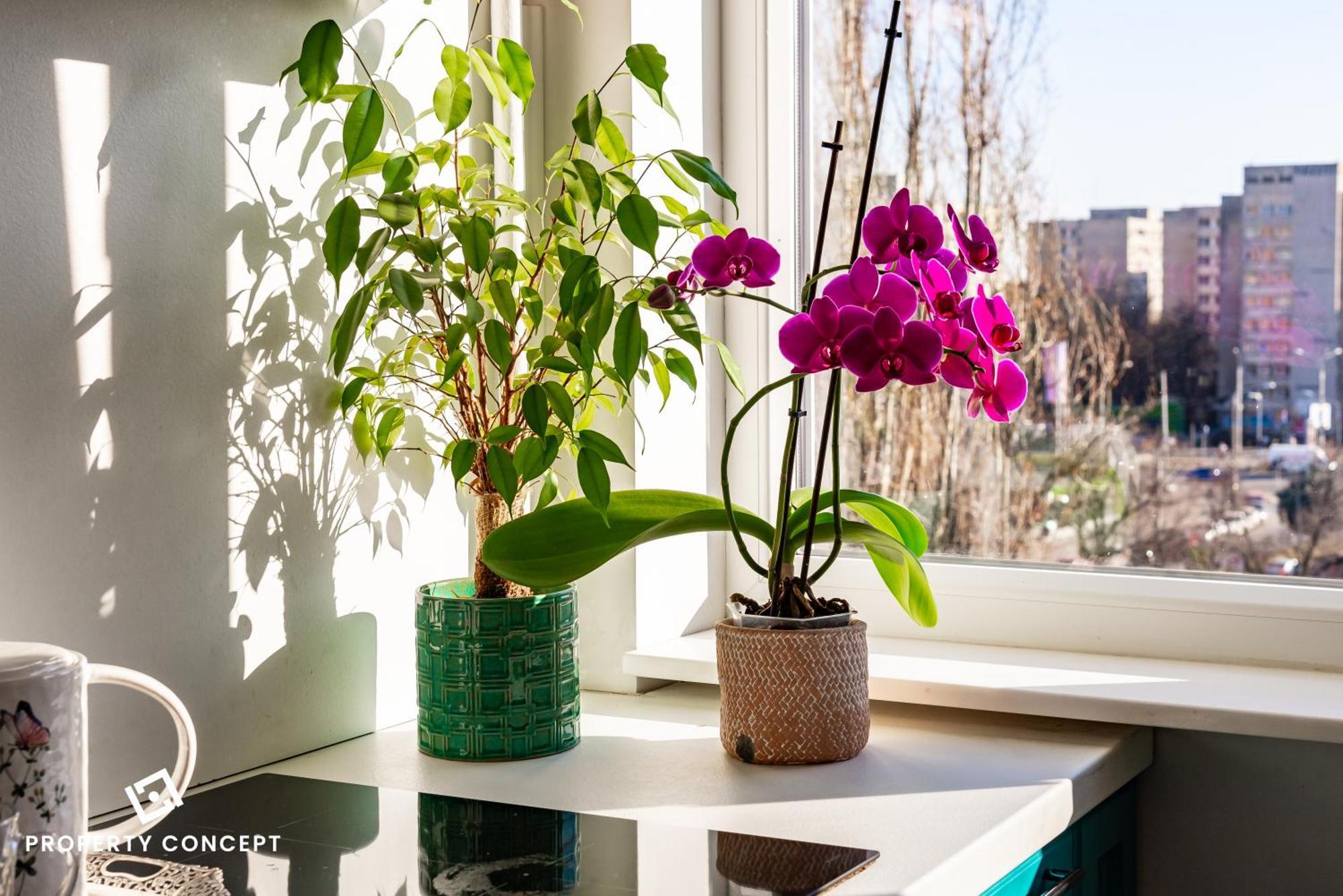 Apartament Blissful Retreat