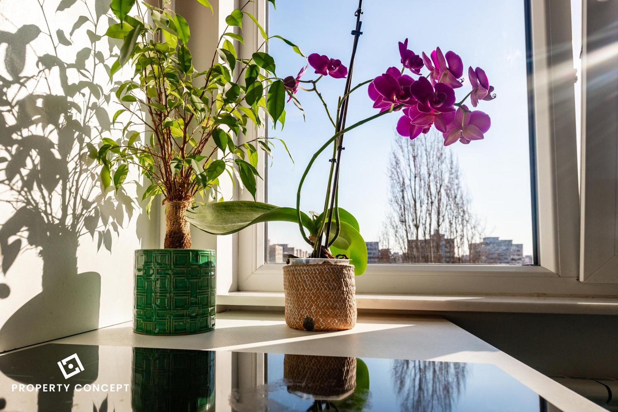 Blissful Retreat Apartament