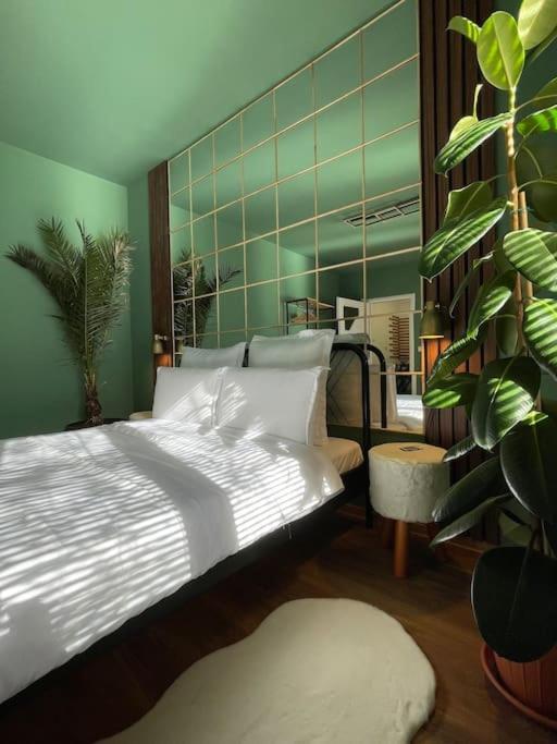 Serenity Apartment