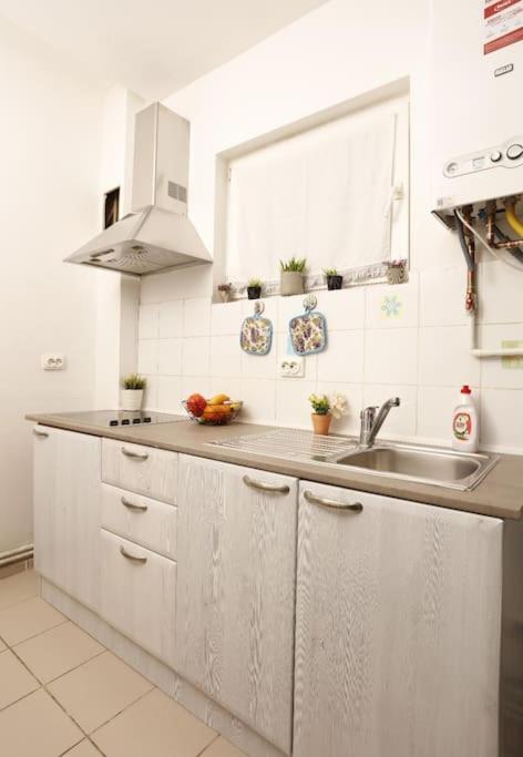Apartment 1 Bdrm In Center Bucharest