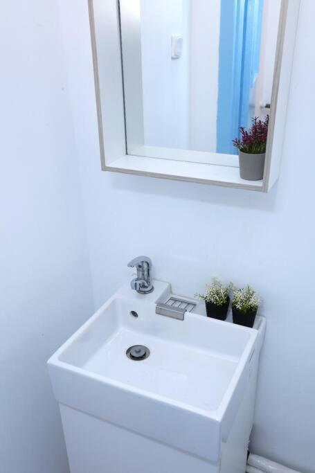 Apartment 3 Bdrm In Center *