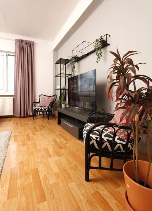 3 Bdrm In Center Apartment Bucharest