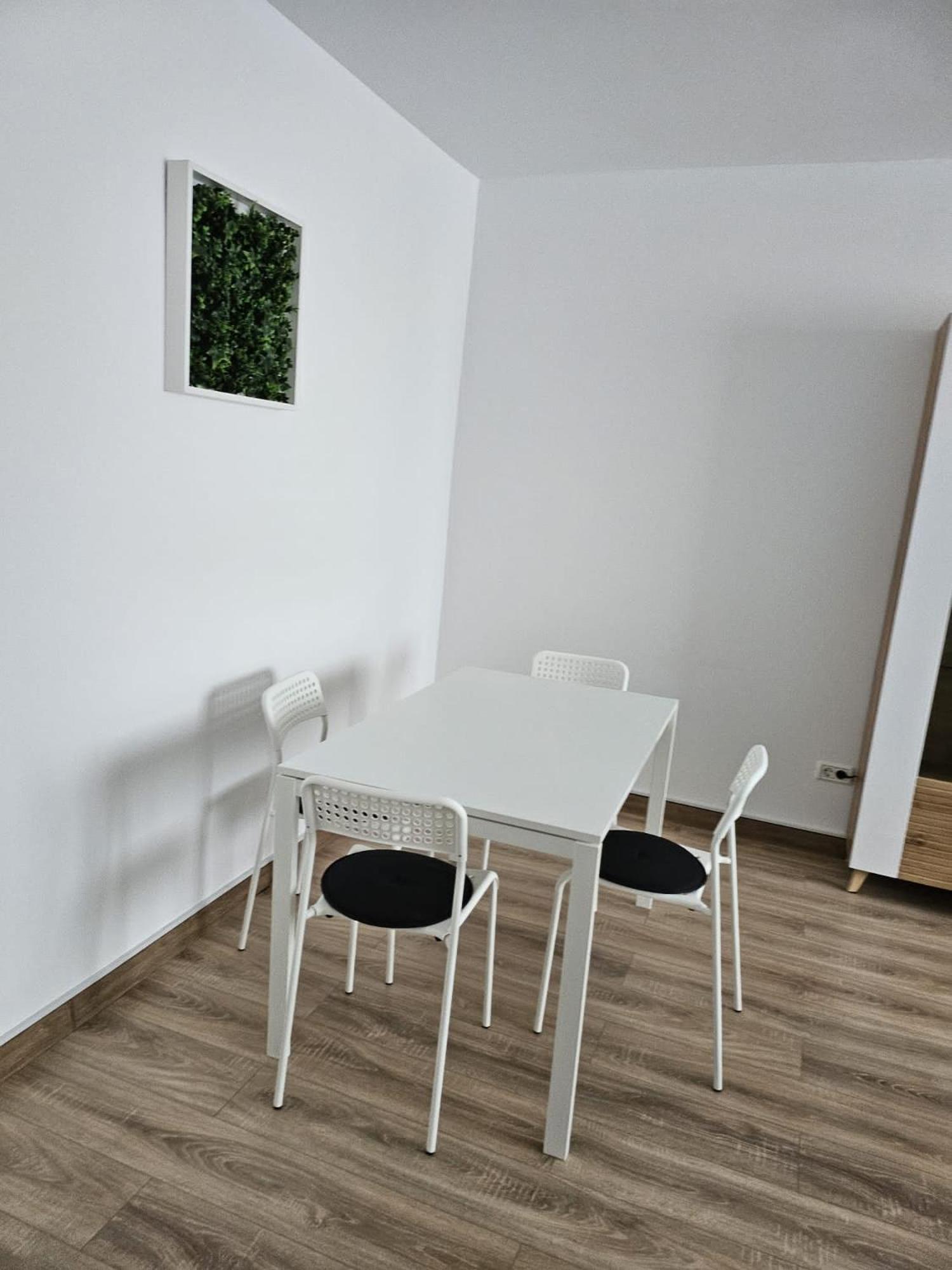 Apartment Studio Iuliu Maniu *