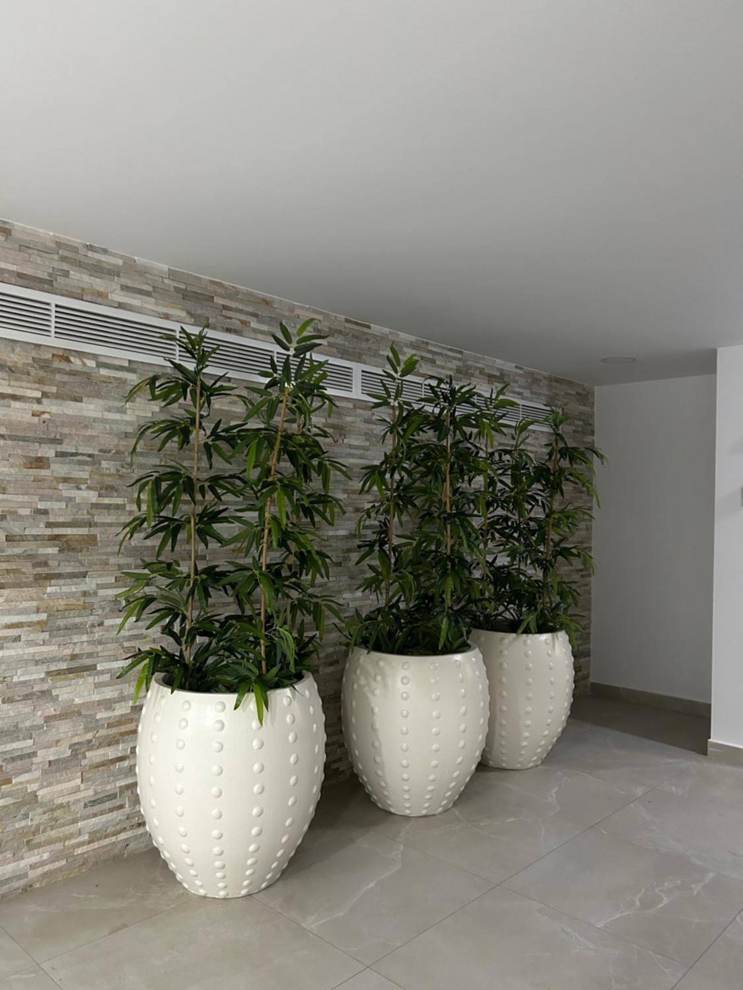 N & D Luxury Studio Bucharest