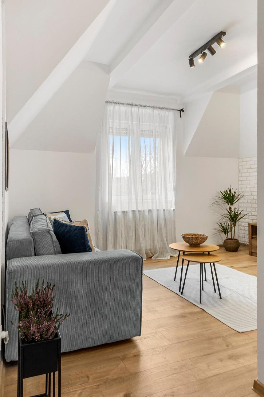 Apartment Herman Park View Cozy 2