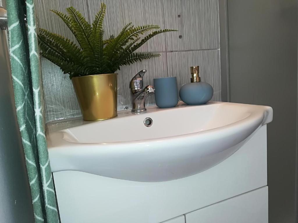 Smart Guest house Bucharest
