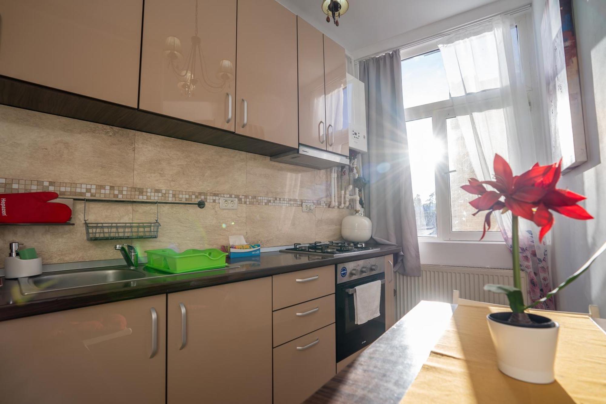Downtown, Close To Old Town, Family Friendly - Ivo10 Apartament Bucureşti