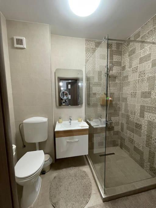 Apartament Puzzle 2