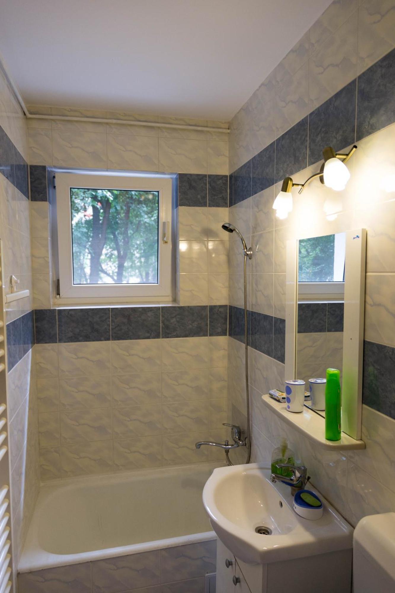 Apartment Simona Bucharest