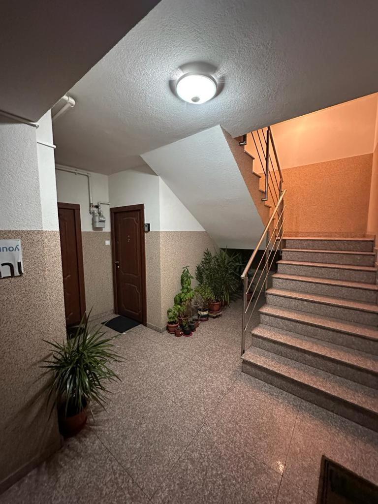 Marului Apartament
