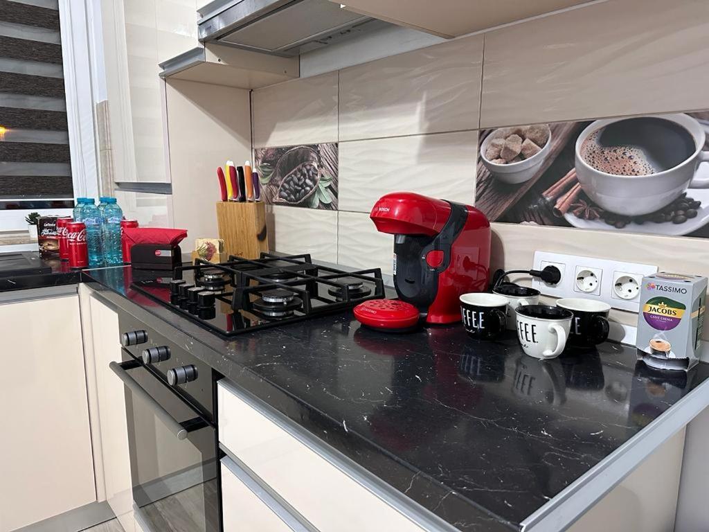 Apartament Marului *