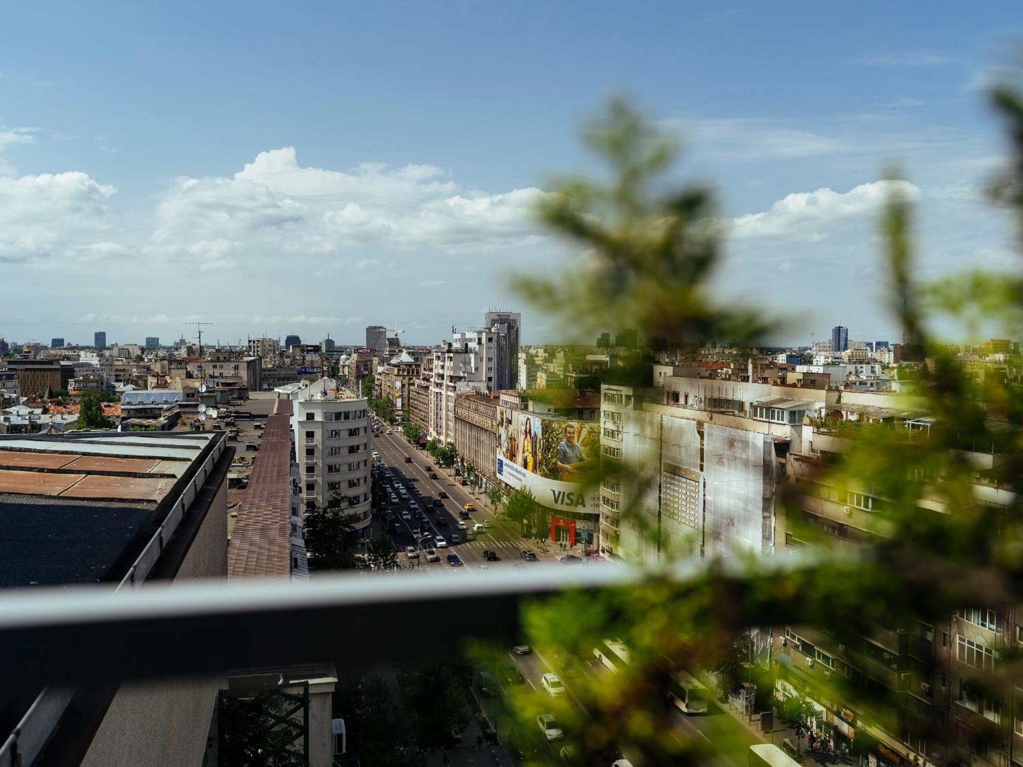 Wilson Old Roof Bucureşti