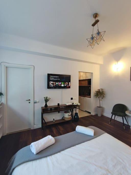 Studio Calea Victoriei Apartment Bucharest