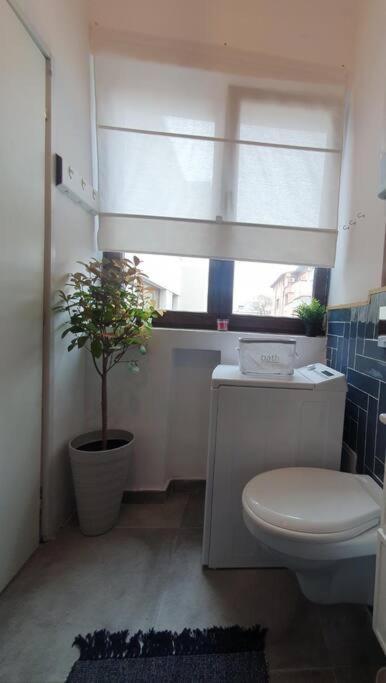 Studio Calea Victoriei *
