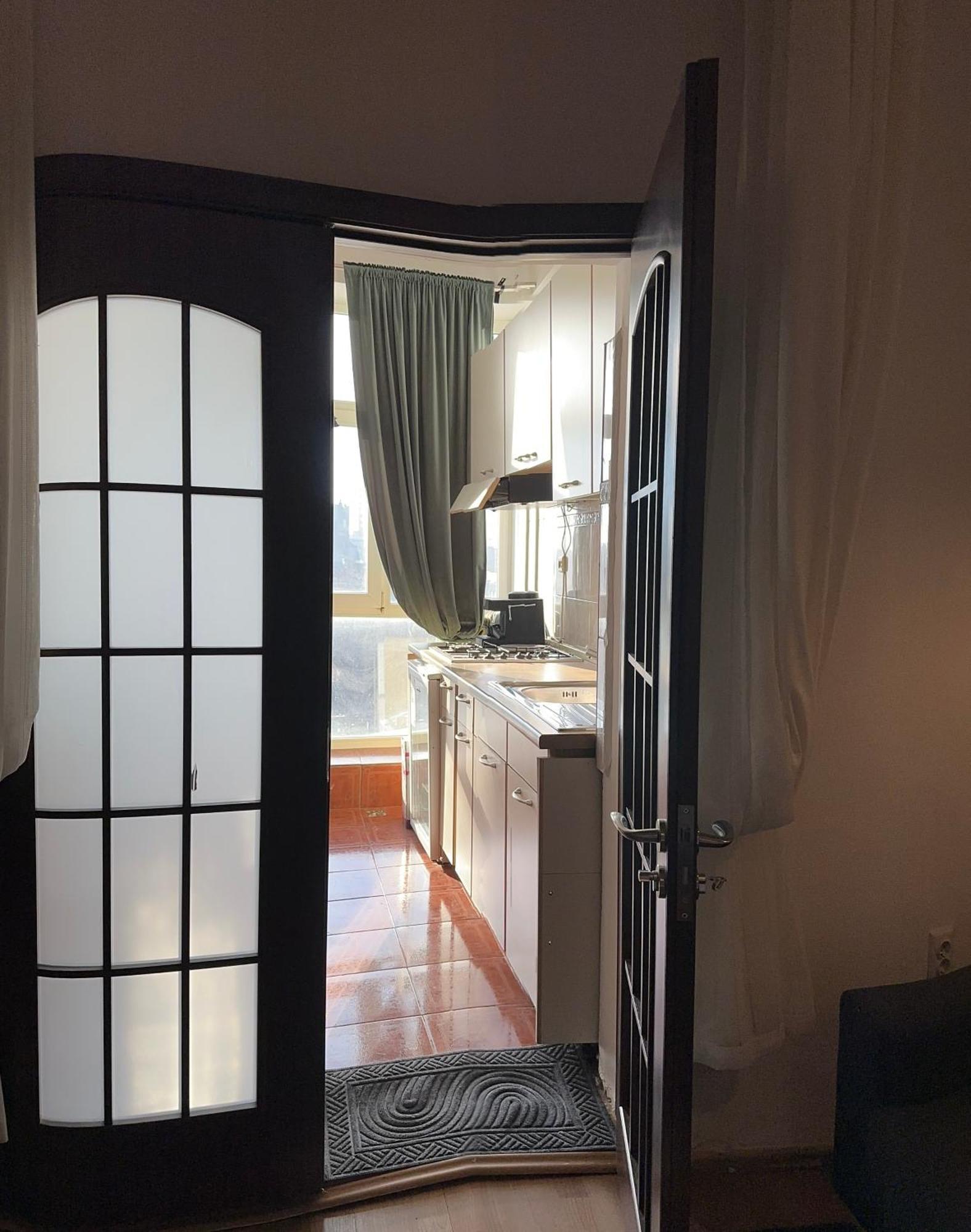 Downtown Calea Victoriei Apartment