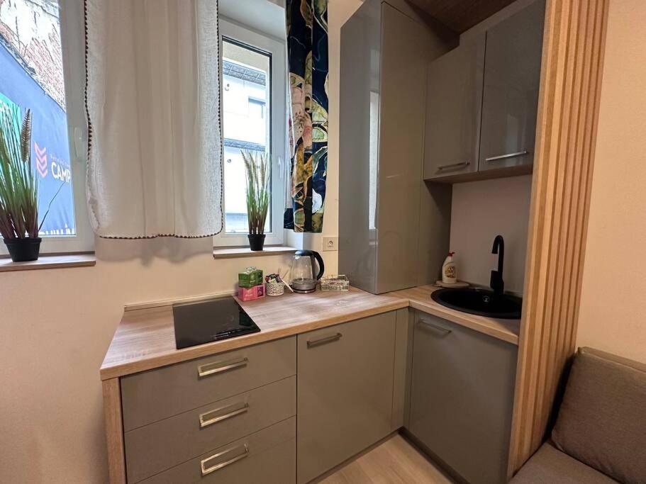 Cozy 1 Bedroom Apartment! Bucharest