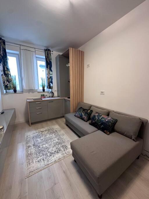 Cozy 1 Bedroom Apartment! Bucareste
