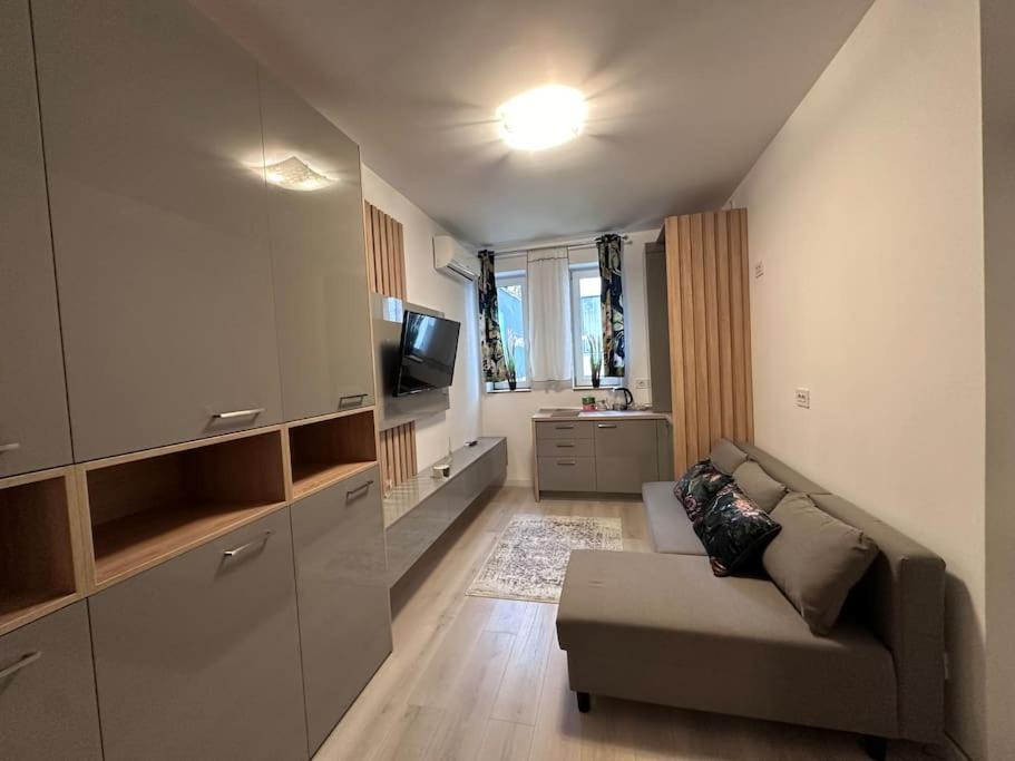 Cozy 1 Bedroom Apartment! Bucareste