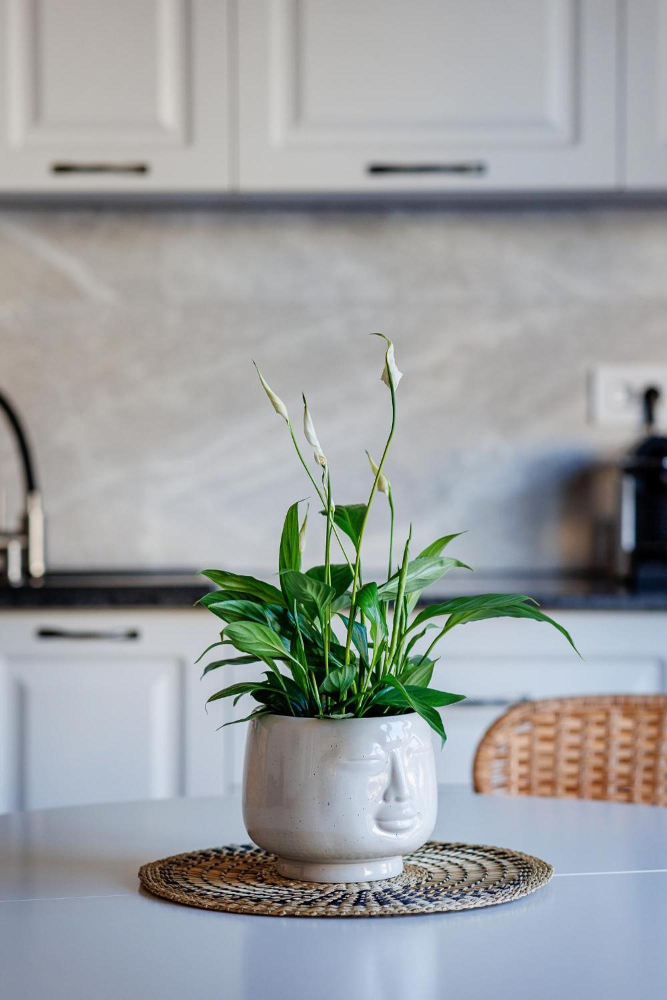 The Corner Luxe