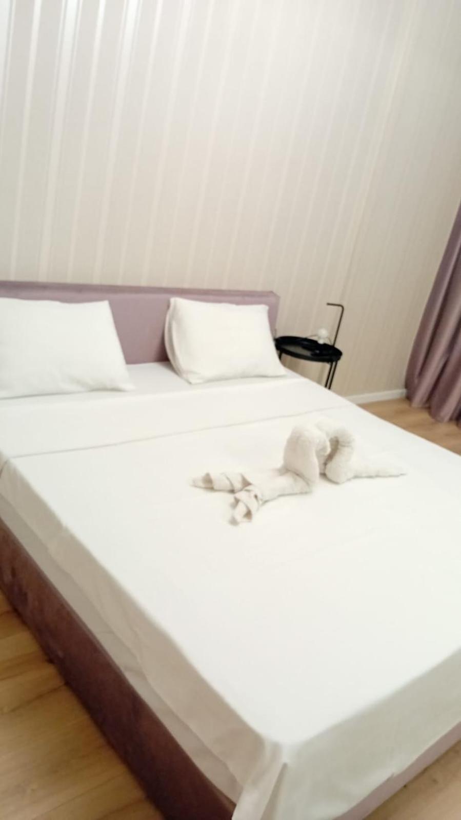 Dxn Apartament