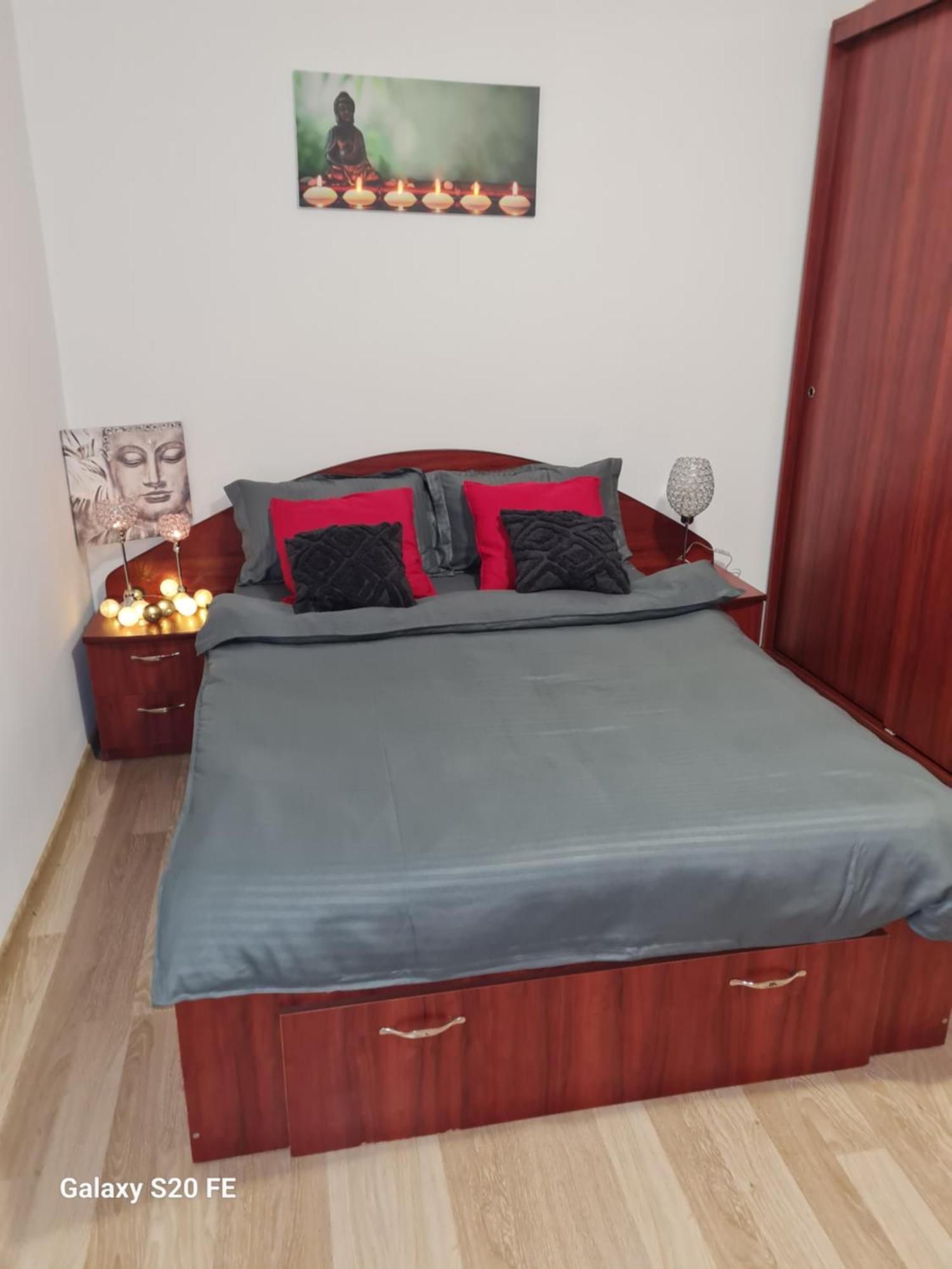 Ambient Cismigiu Apartment Bucharest