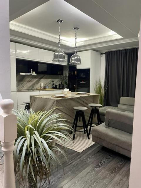 Casa In Inima Capitalei * Bucureşti