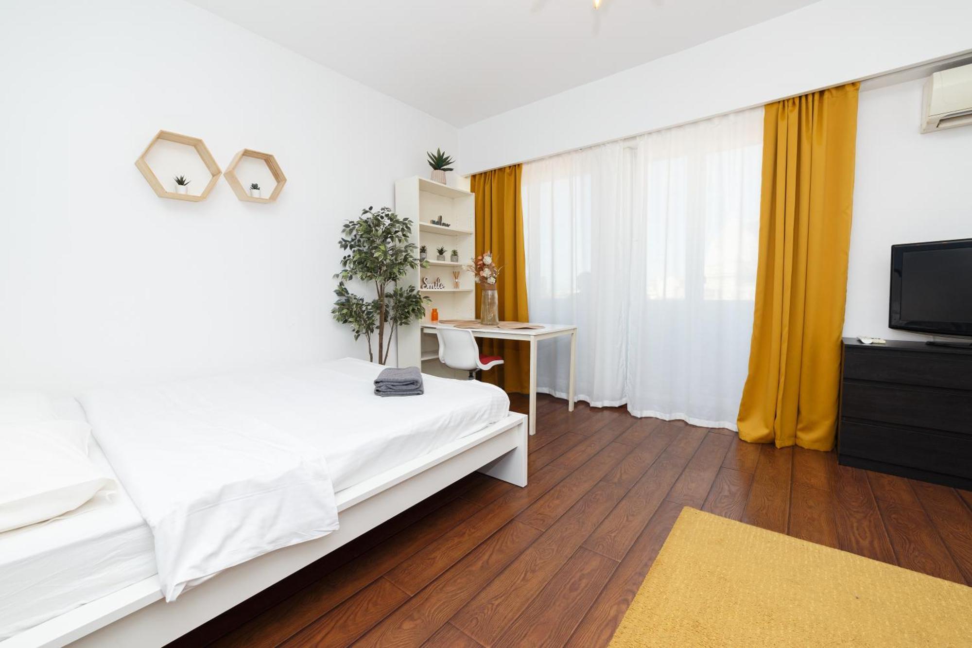 Color Nicolae Tonitza St Apartment
