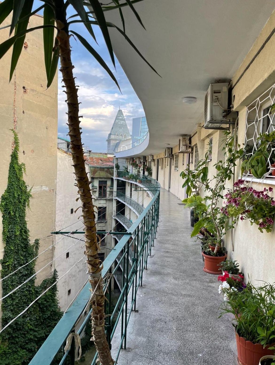 Lucomi's Apartament *