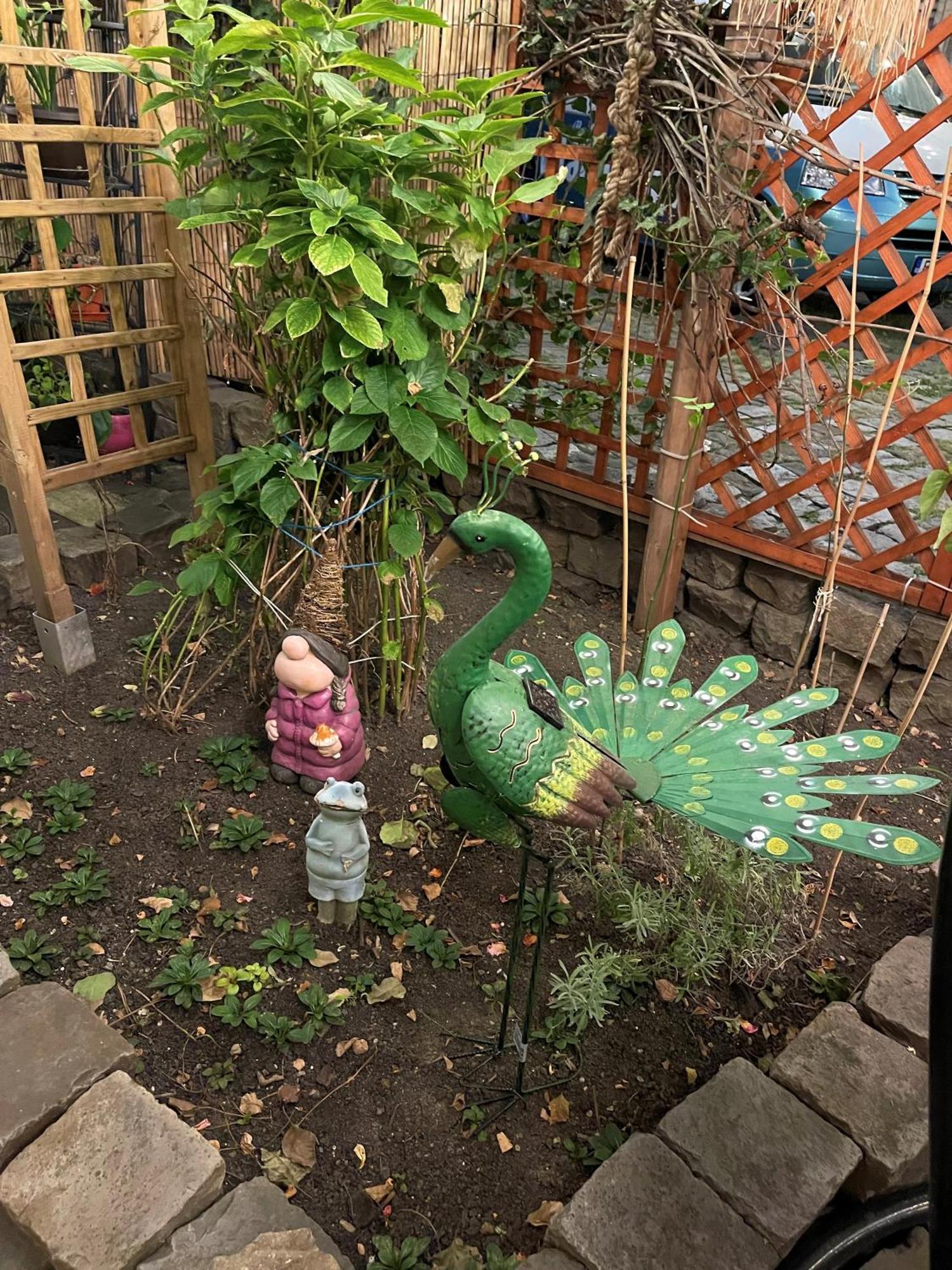 Apartment Garden