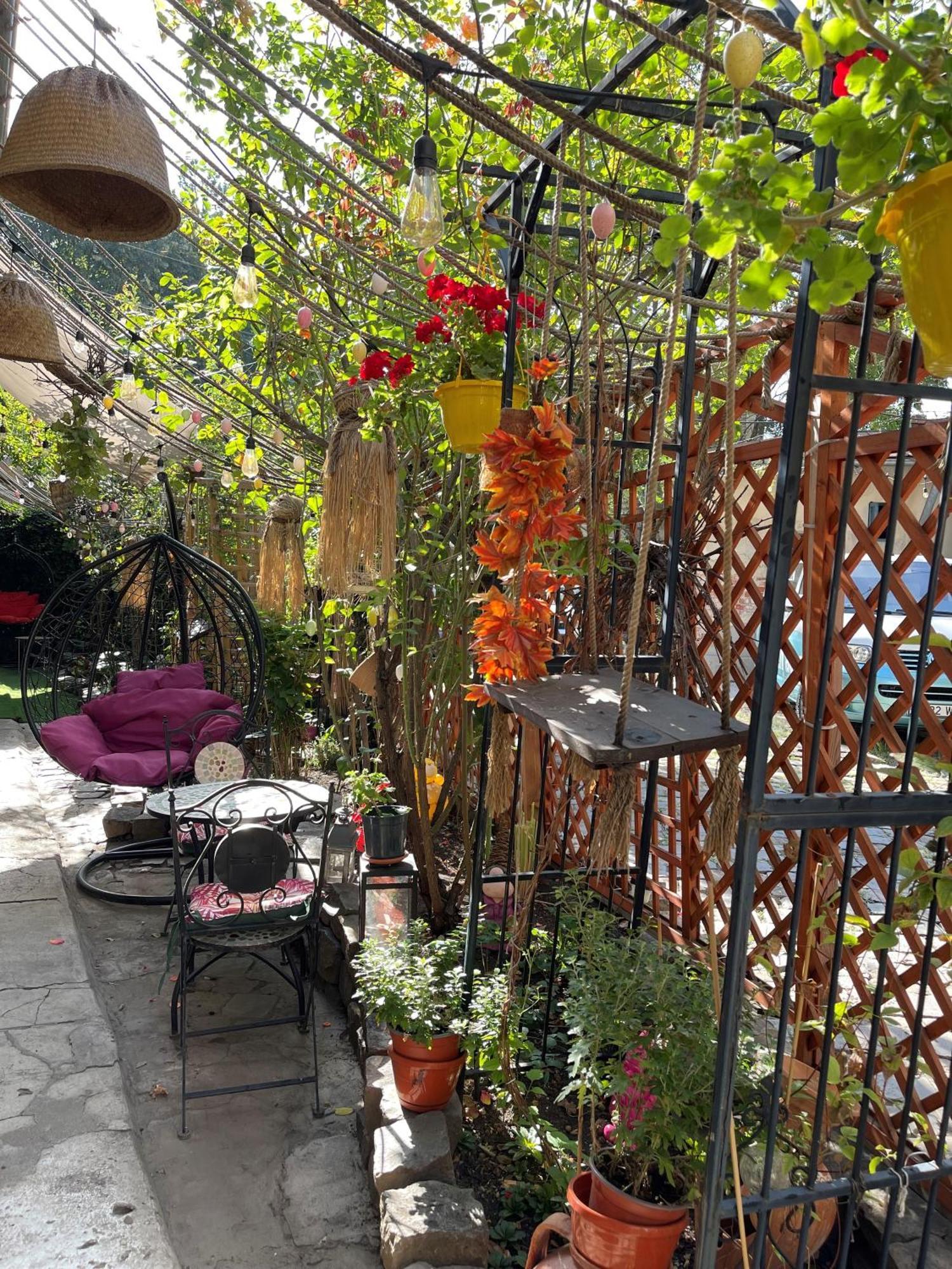 Garden * Bucareste