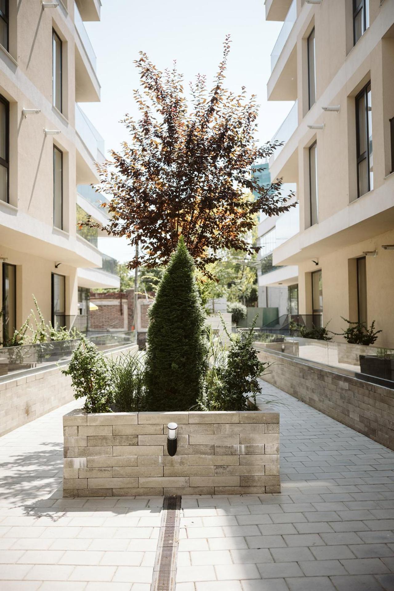 Dec Apartament *