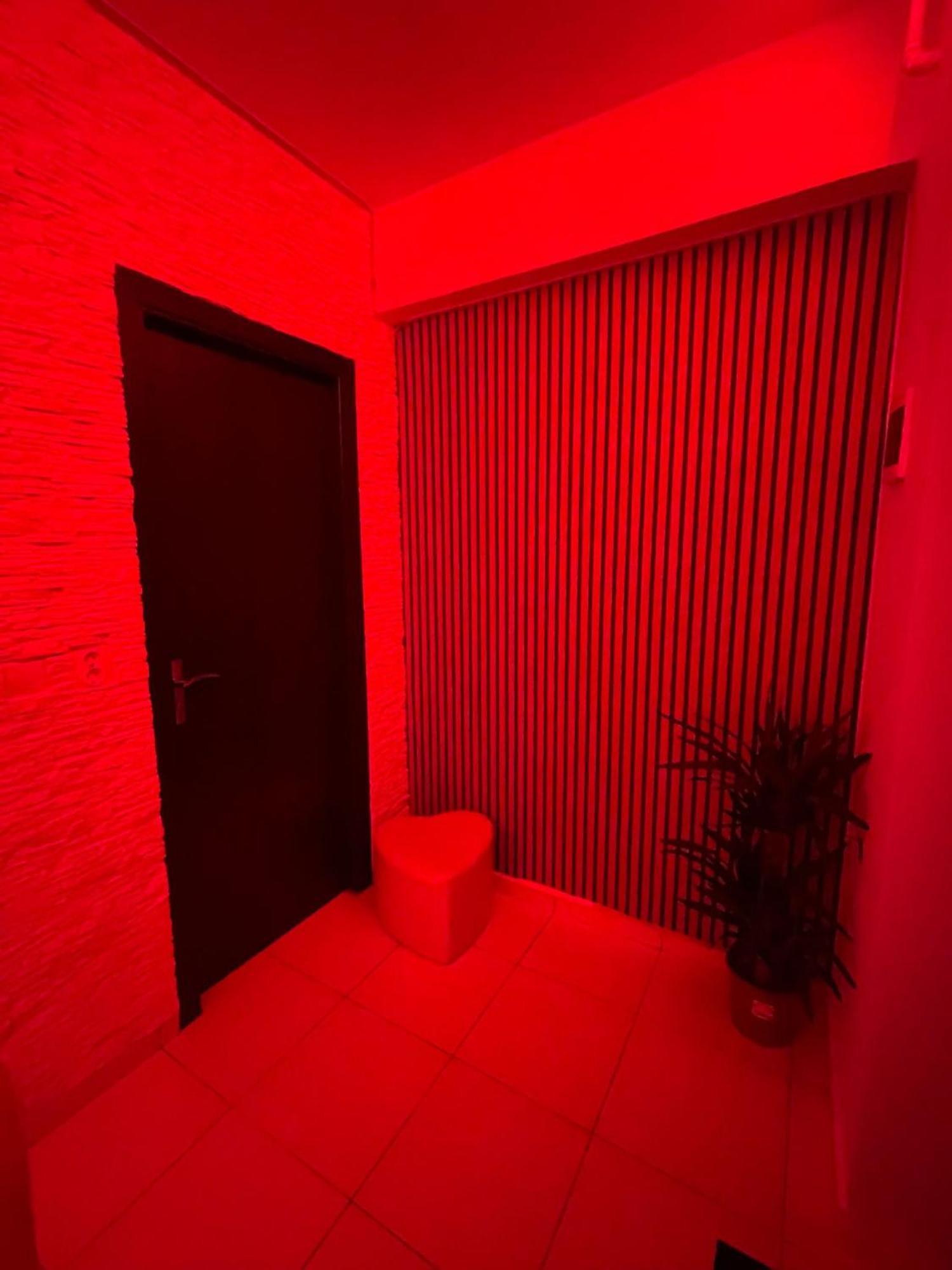 Apartament Lacul Morii Nou *