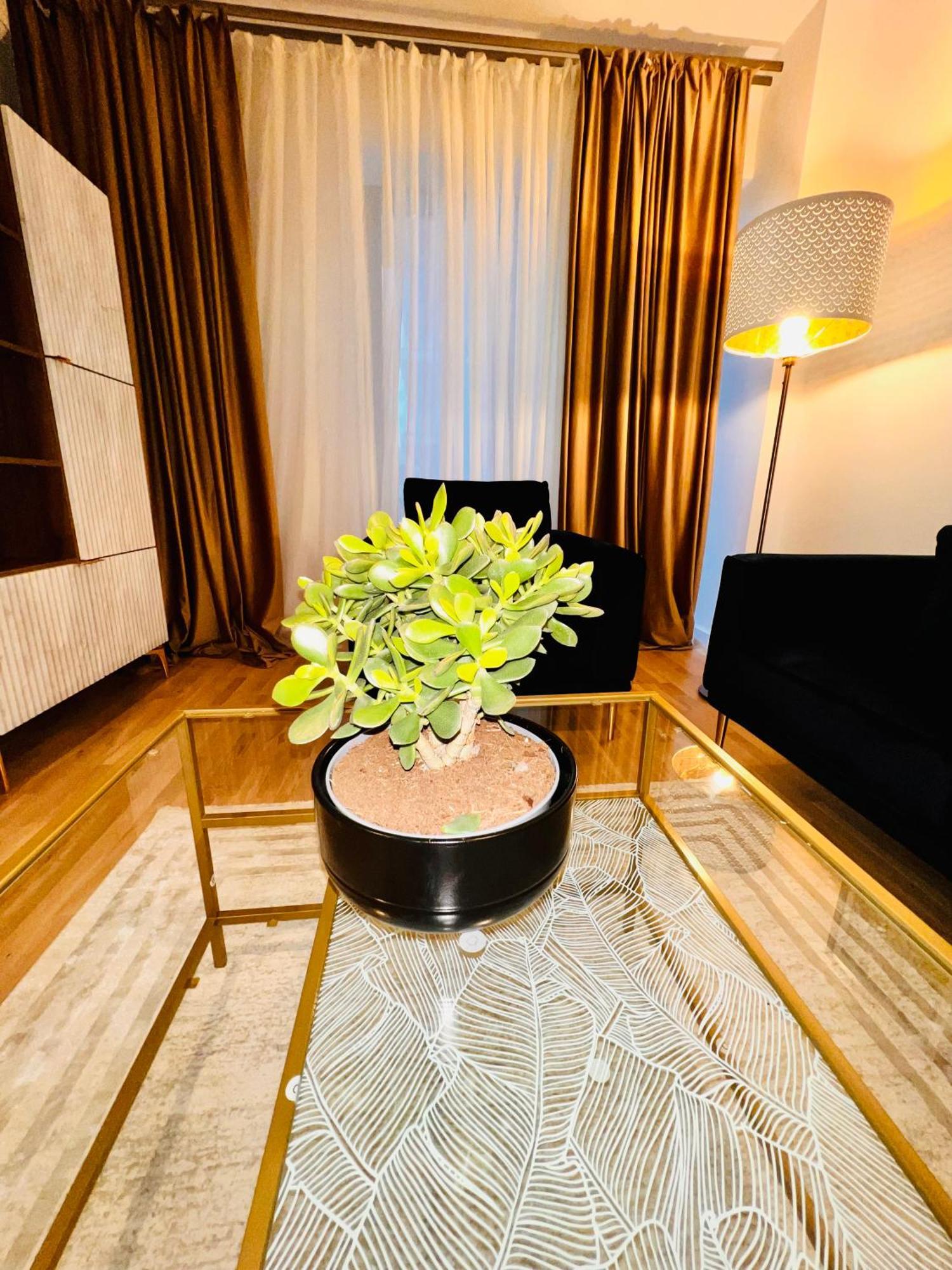 Cosy Apartment Bucharest