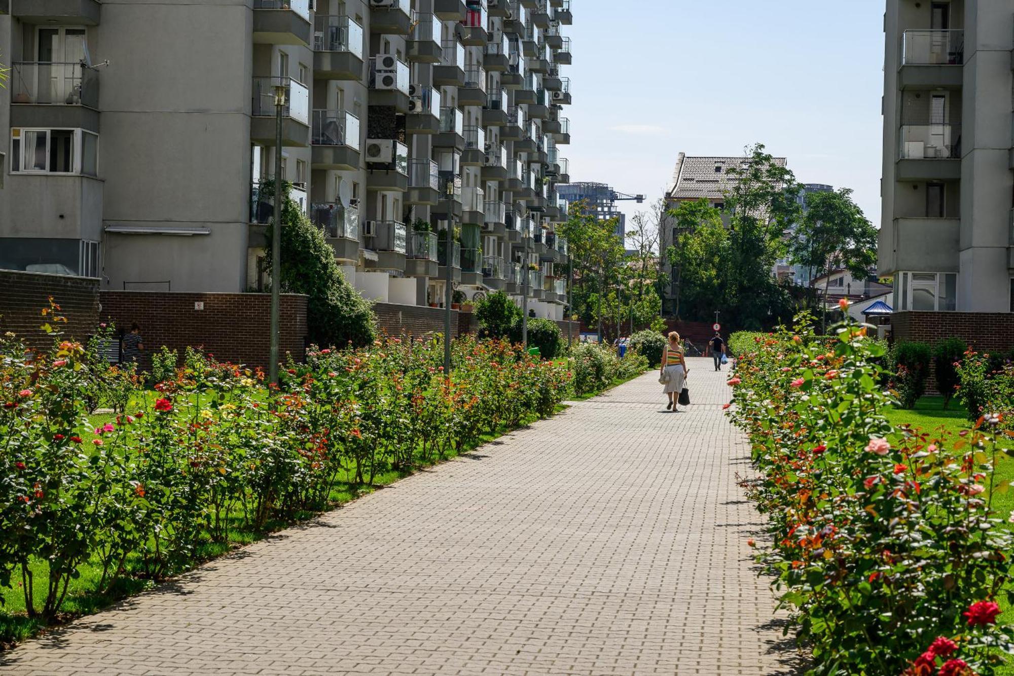 Eme-rose Condo, Free Guarded Parking & Gym Bucharest