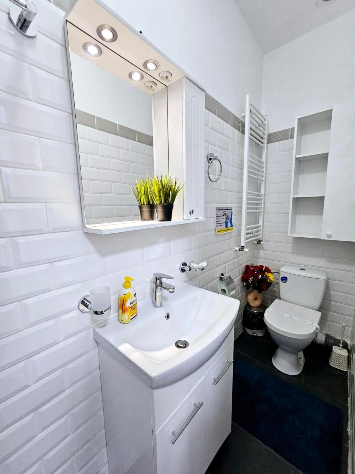 Apartament Carol-unirii