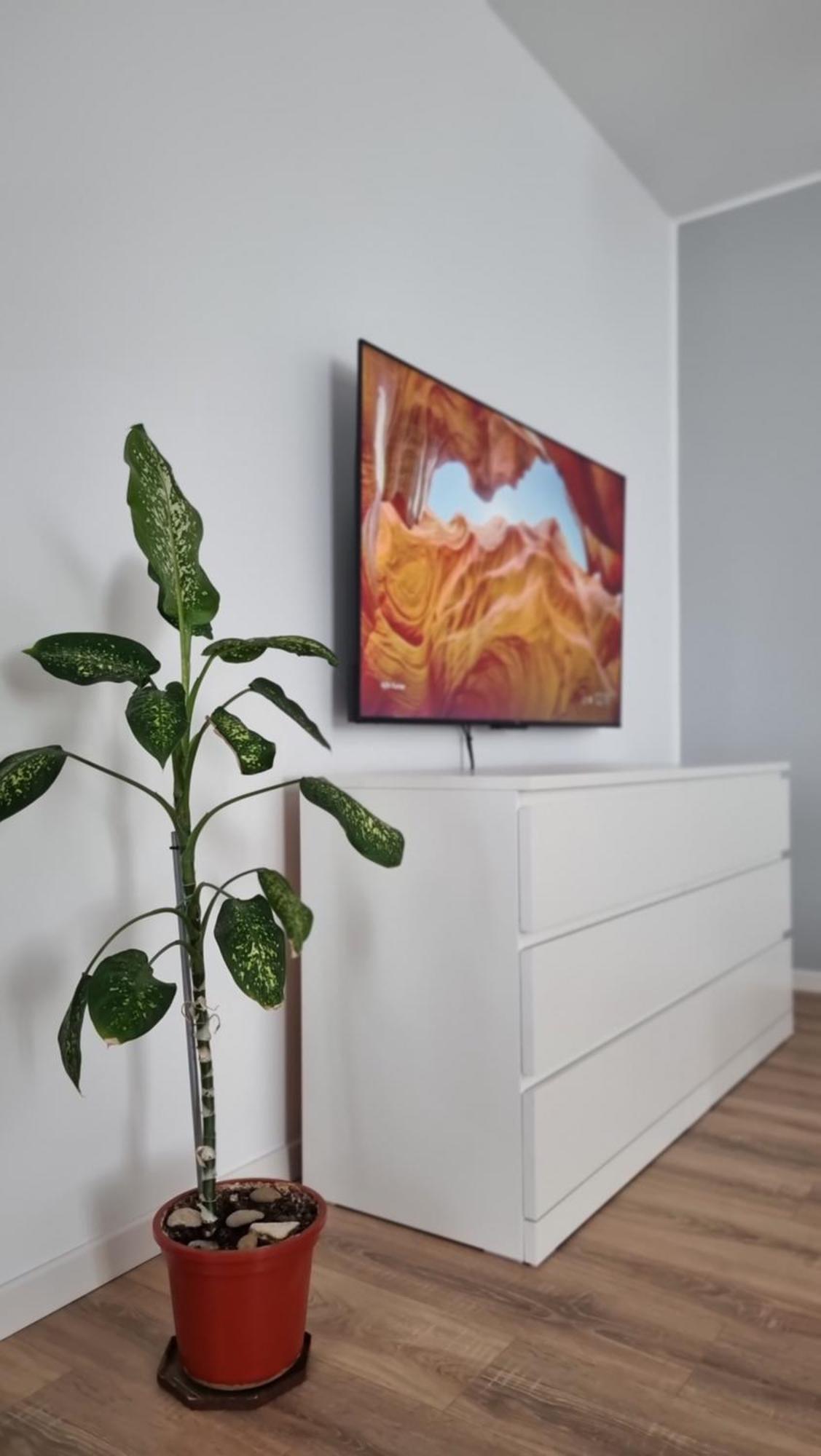 Bliss Nest - Cazare Spital Fundeni * Bucureşti