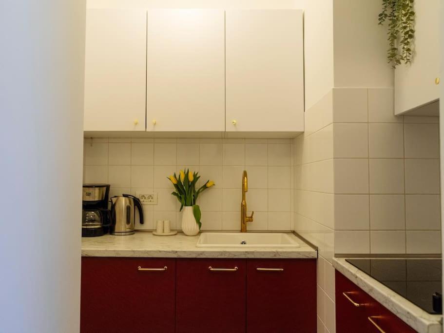 Apartment Amazing View Calea Victoriei Old