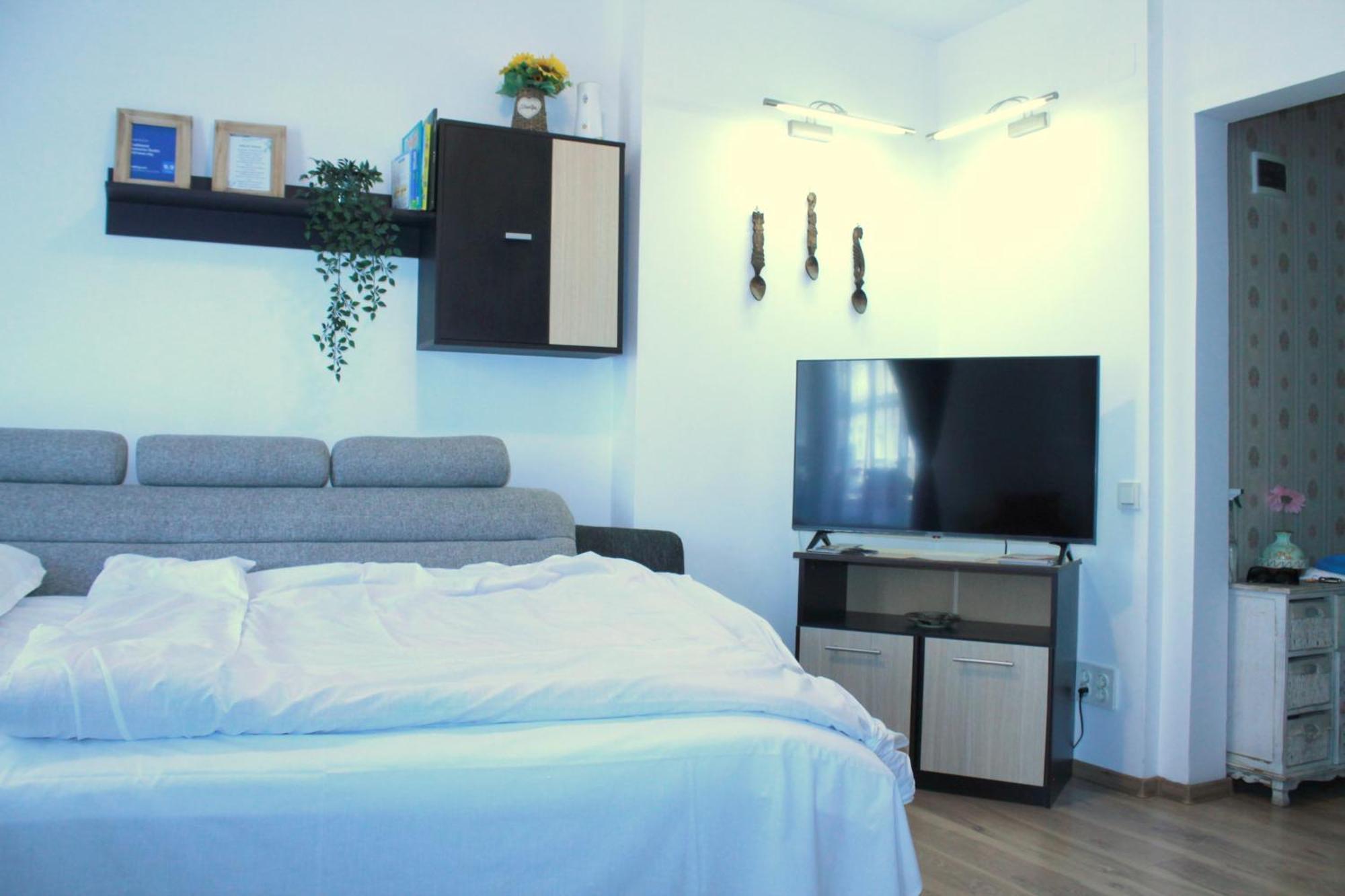 Apartament Traditional Romanian