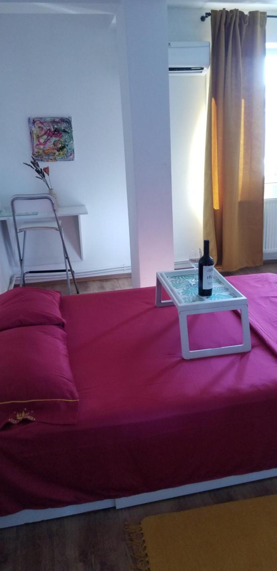 Bed & Breakfast Private At Ceausescu's Place In Old Unirii Square *