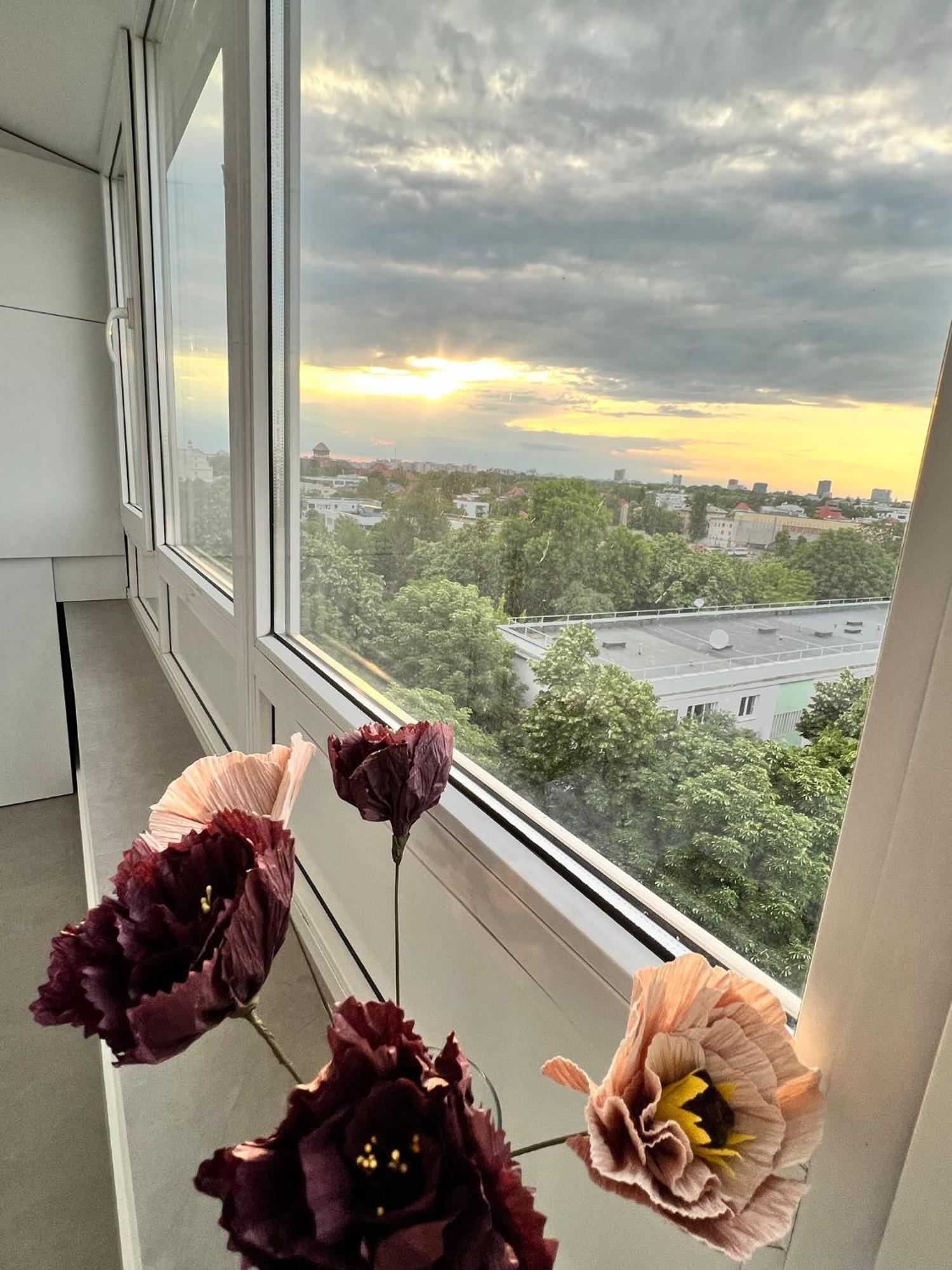 Spectacular View Over The City - Dorobanti Studio Apartment Bucharest