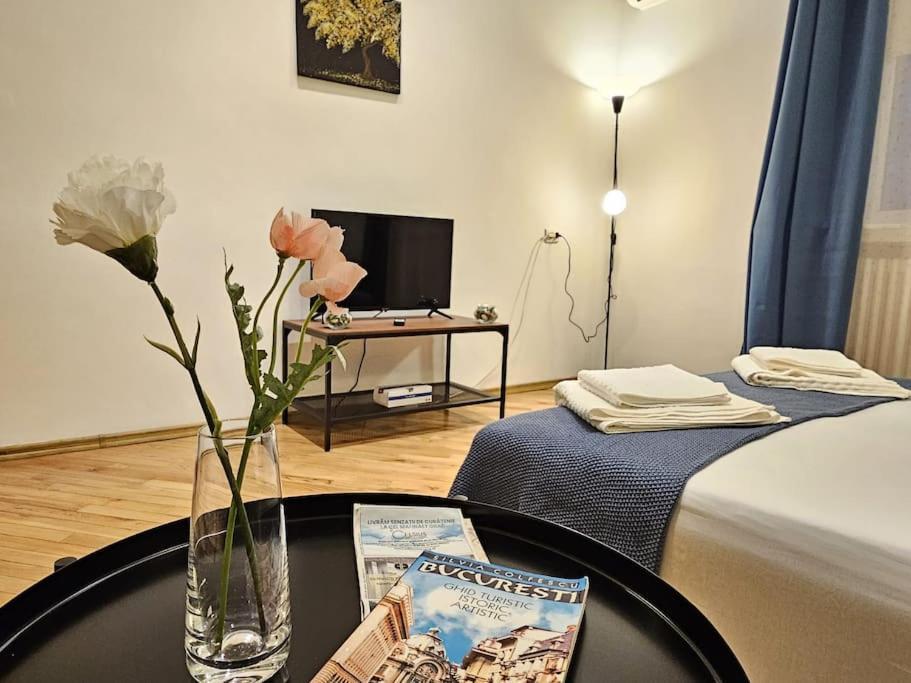 Sweet Dreams Calea Victoriei Sunny Apartment Bucharest