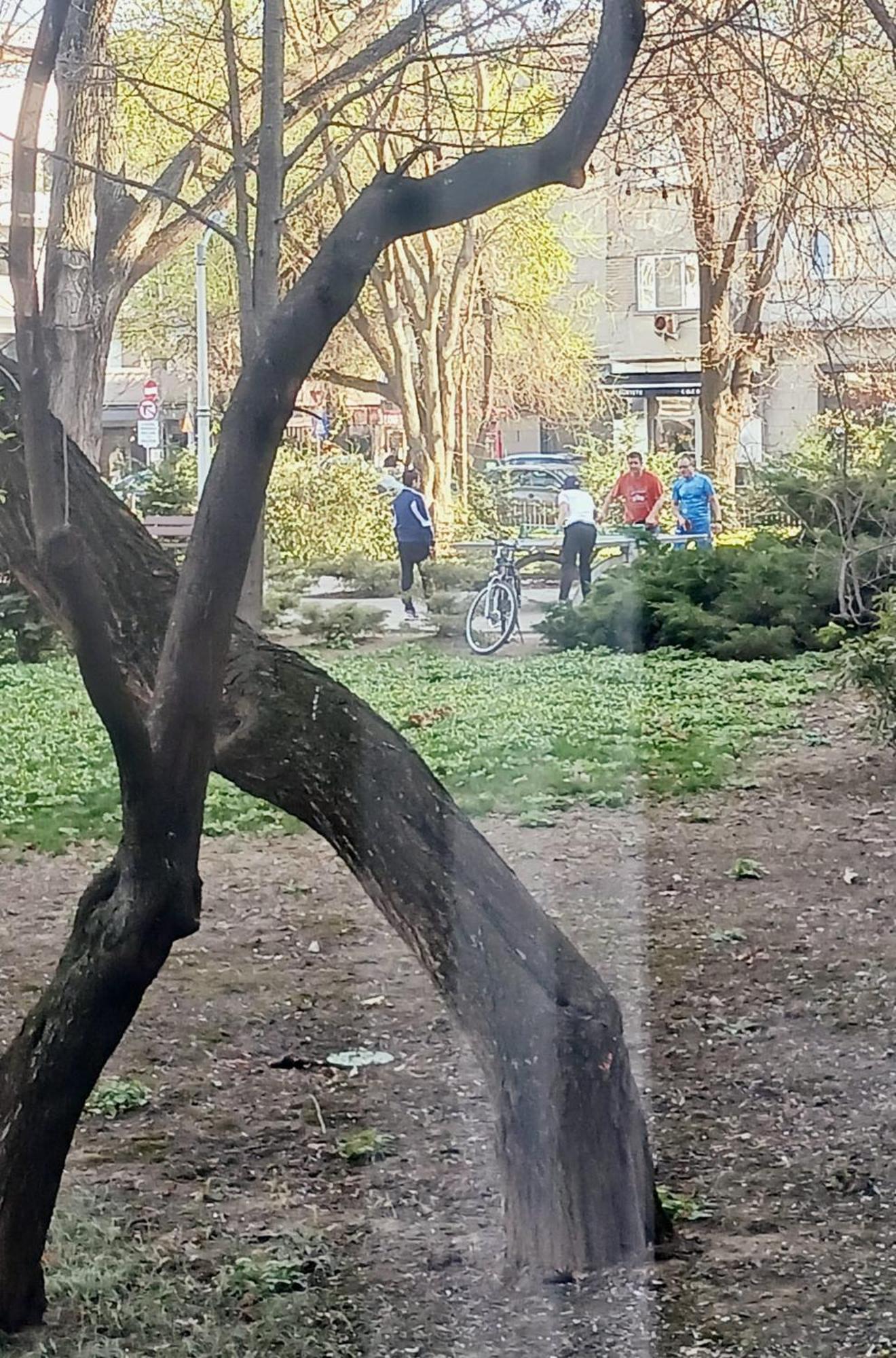 The House In The Park Bucharest