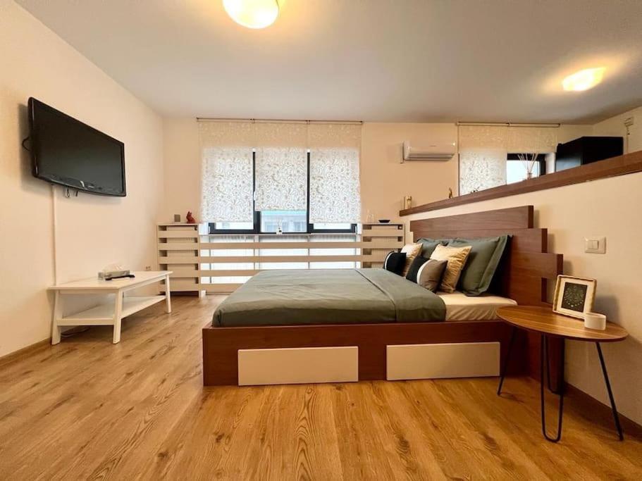 Modern Fully Equipped Studio -central- Carol Park Apartment Bucharest