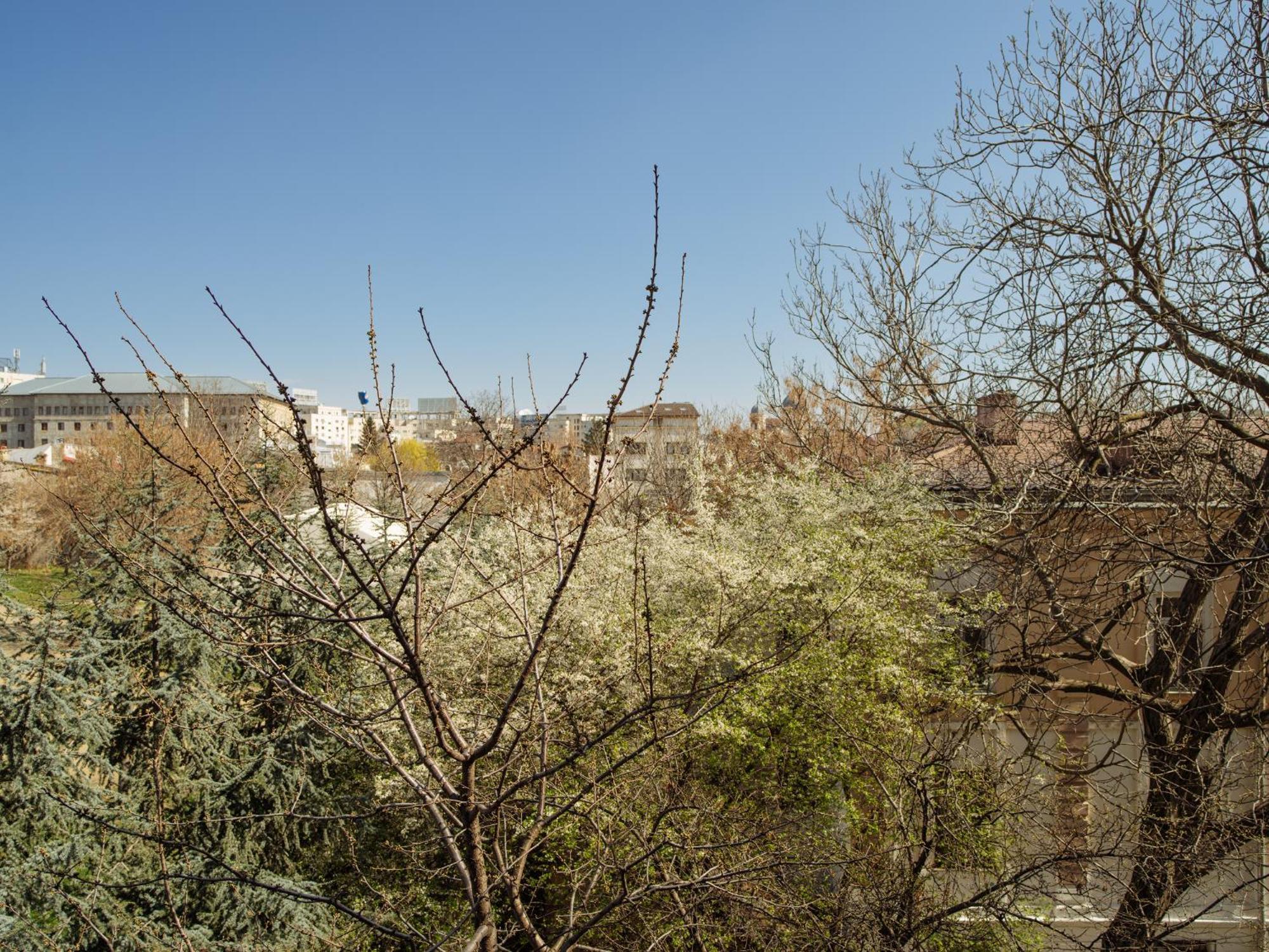 Apartamento Quiet With Terrace View Bucareste