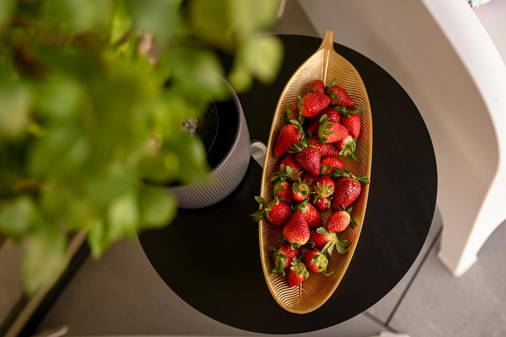 One Verdi Park Exclusive - Panoramic View & Private Parking * Bucharest